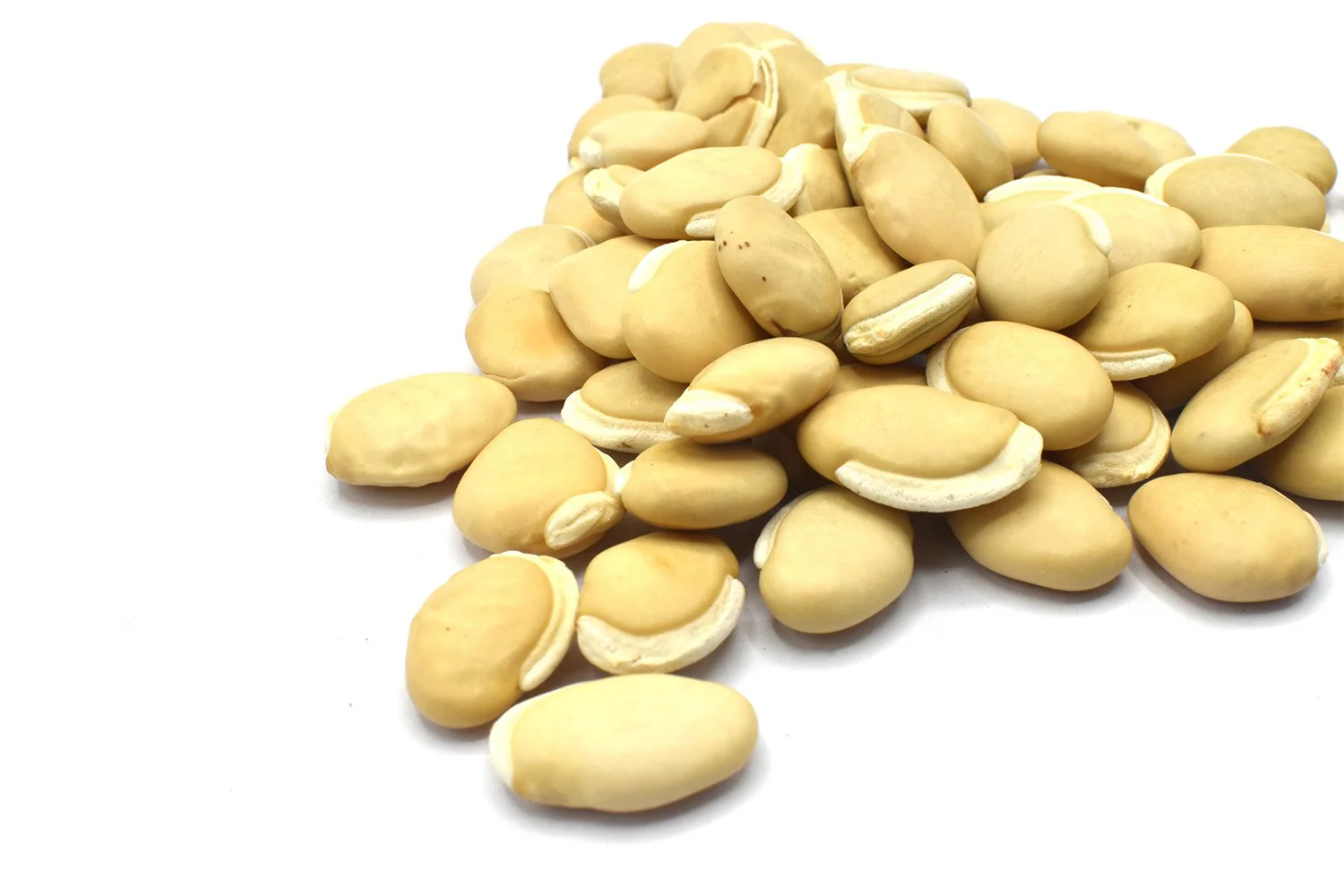 BAI BIAN DOU - 白扁豆 - Hyacinth Bean - Custom Amount