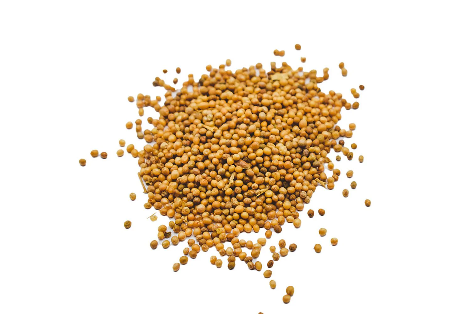 BAI JIE ZI - 白芥子 - White Mustard Seed - Custom Amount