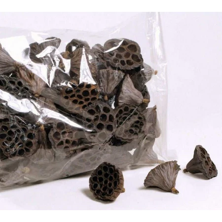 Lian Peng - 莲蓬 -Lotus pod