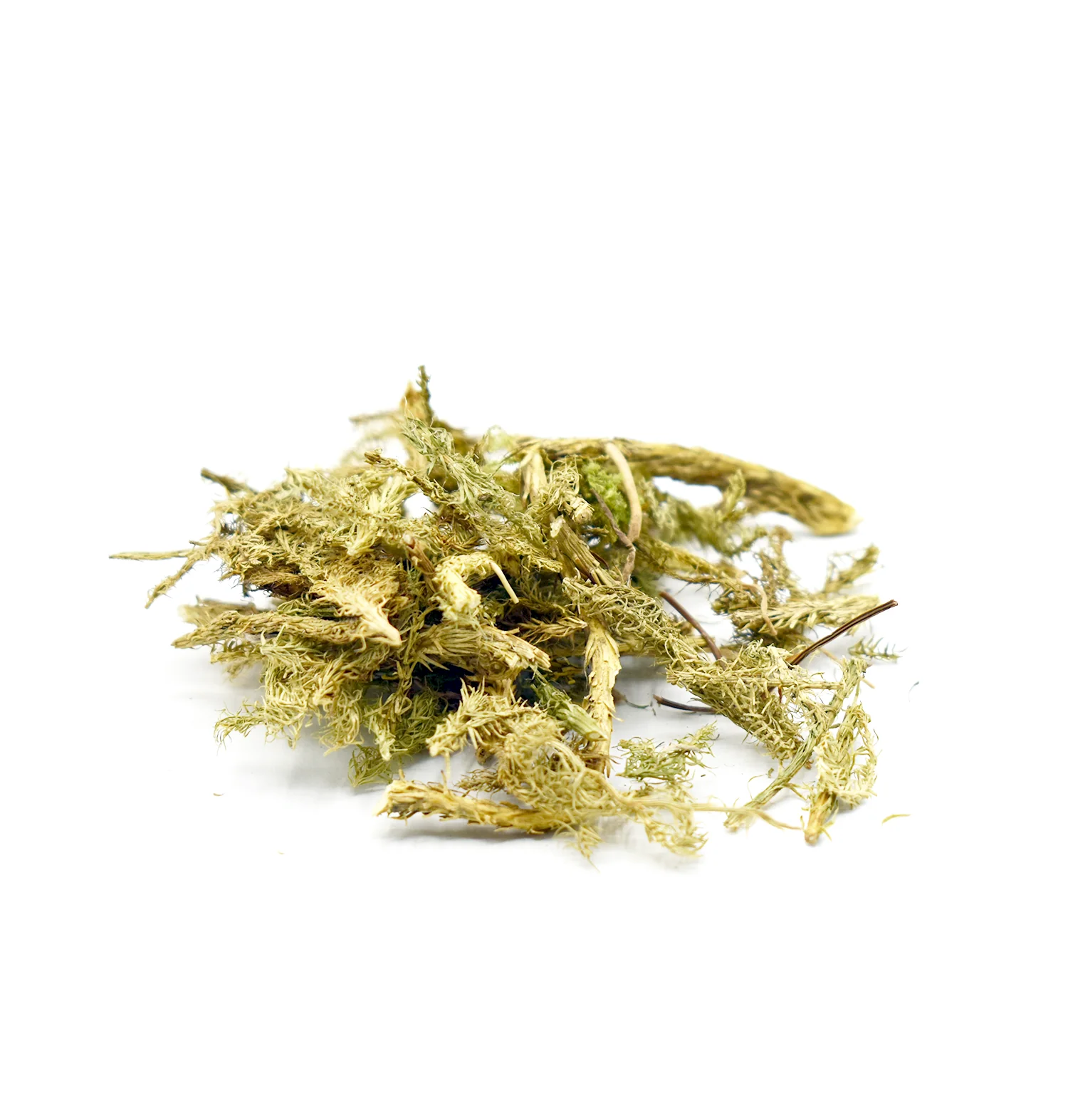 SHEN JIN CAO - 伸筋草 - Common Club Moss - Custom Amount